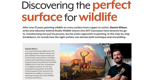 The Artist - October 2025: Daniel Wilson