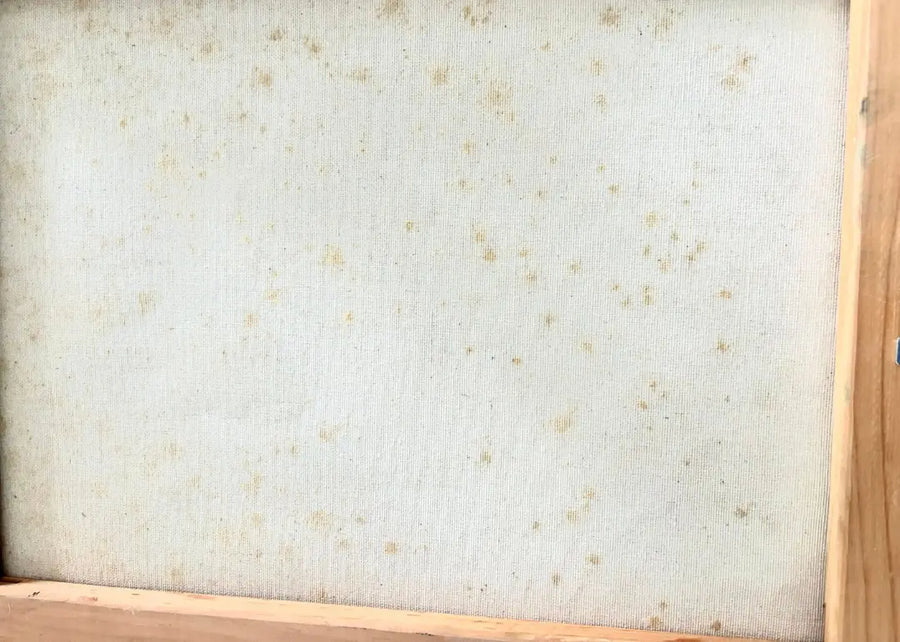 ORGANIC CANVAS DOESN’T AGE GRACEFULLY